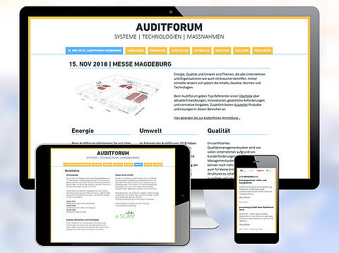 Webdesign: Auditforum.eu mit Typo3 CMS /  2018